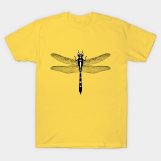 Graphic of a dragonfly T-Shirt